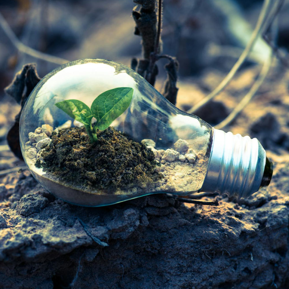 CSR Projects Implementation Consultancy